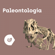 aplikacja-corinth-paleontologia-i-kultura_1x1.png